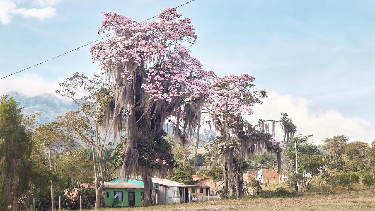 Chipata Macuaヴィラ エクステリア 写真