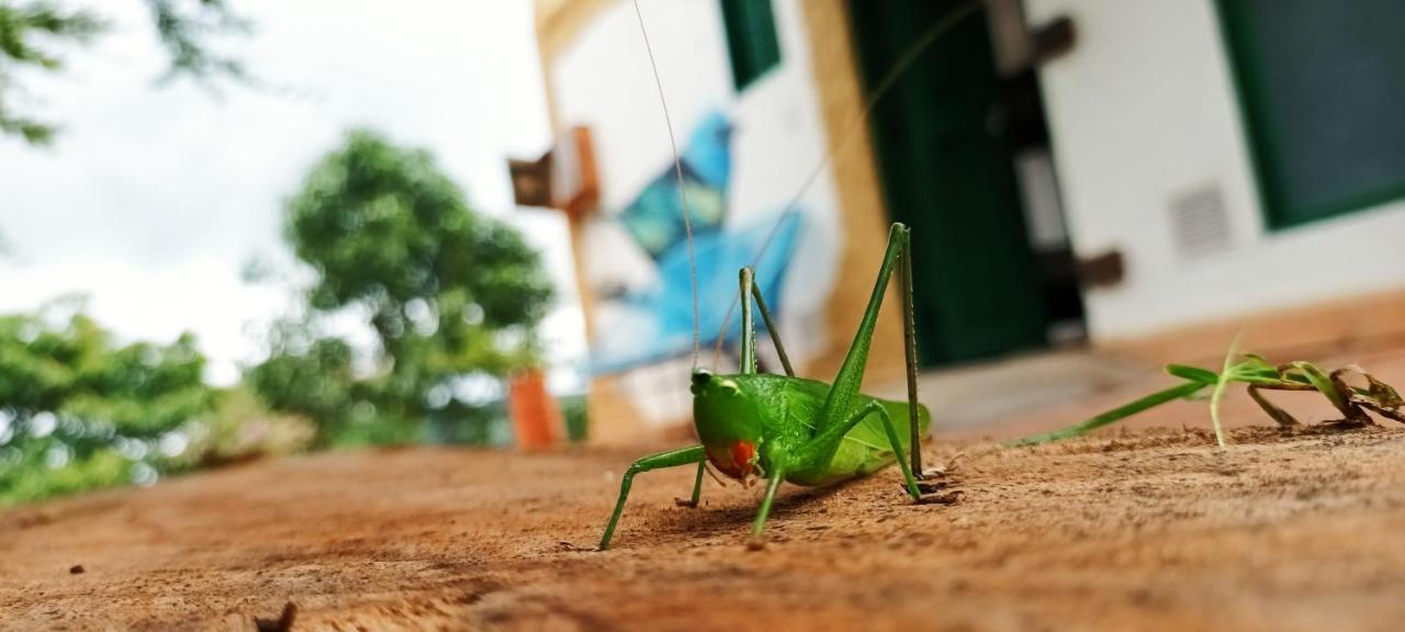 Chipata Macuaヴィラ エクステリア 写真