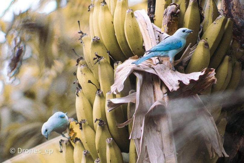 Chipata Macuaヴィラ エクステリア 写真